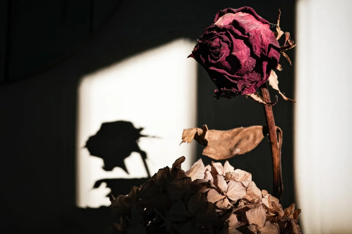 Tears On A Withered Flower Chapter 119: Jadwal Rilis dan Spoiler Terbaru