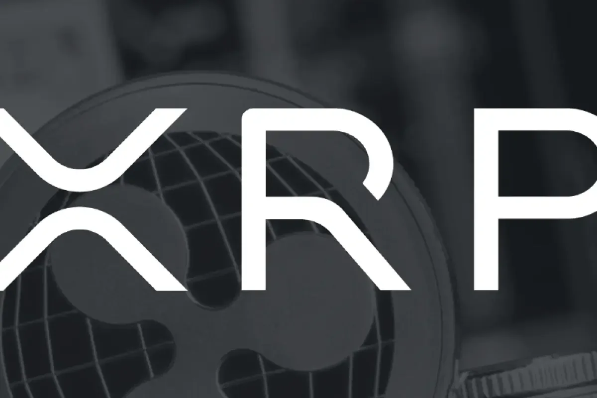 Ripple's Corporate Success Contrasts with XRP Token's Steep Decline