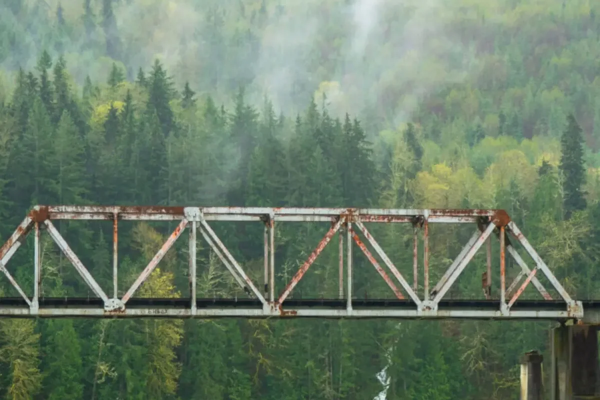 Bond Ladders via TIPS: Jembatan Pensiun yang Kuat