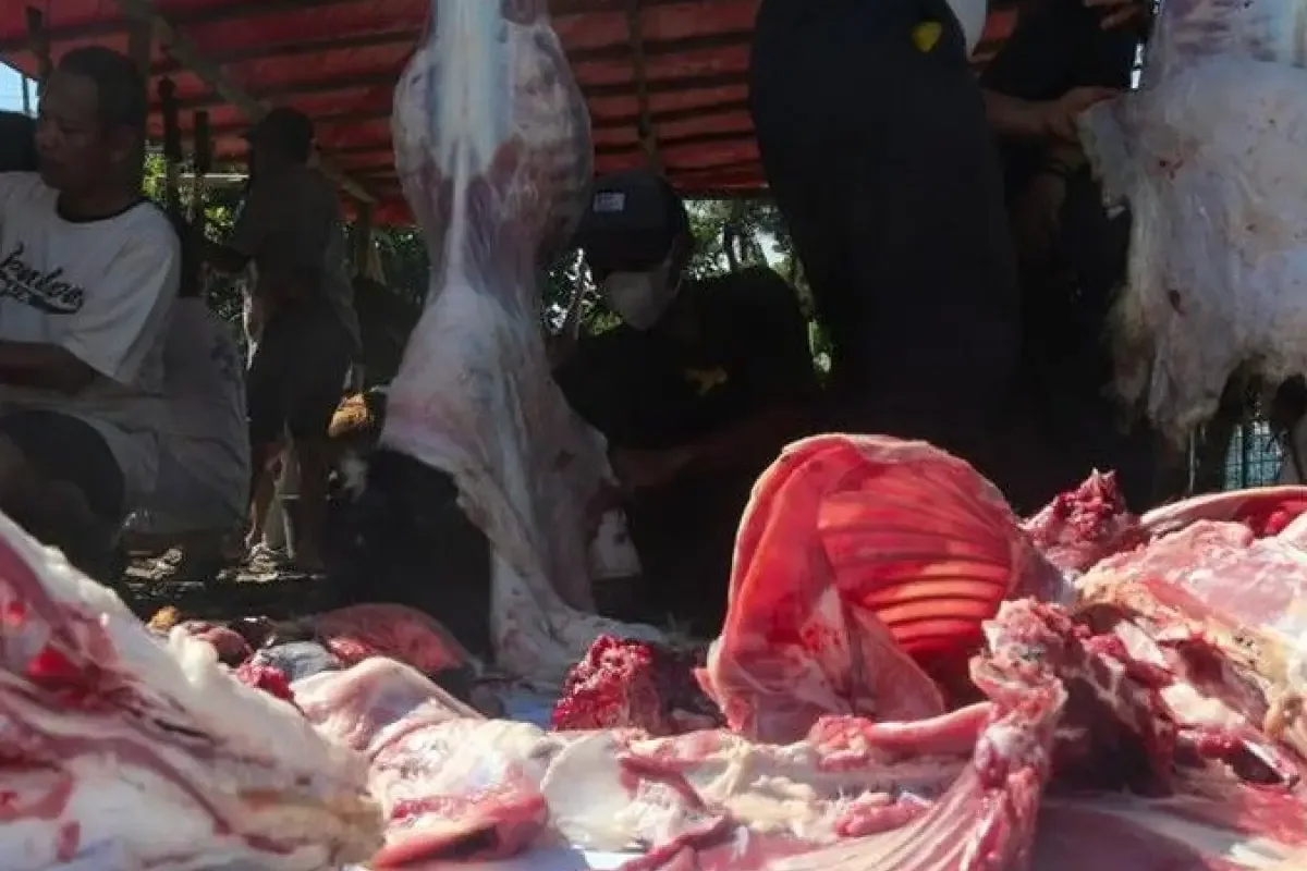 Enzim Nanas dan Pepaya Terbukti Ilmiah Mengempukkan Daging Kurban