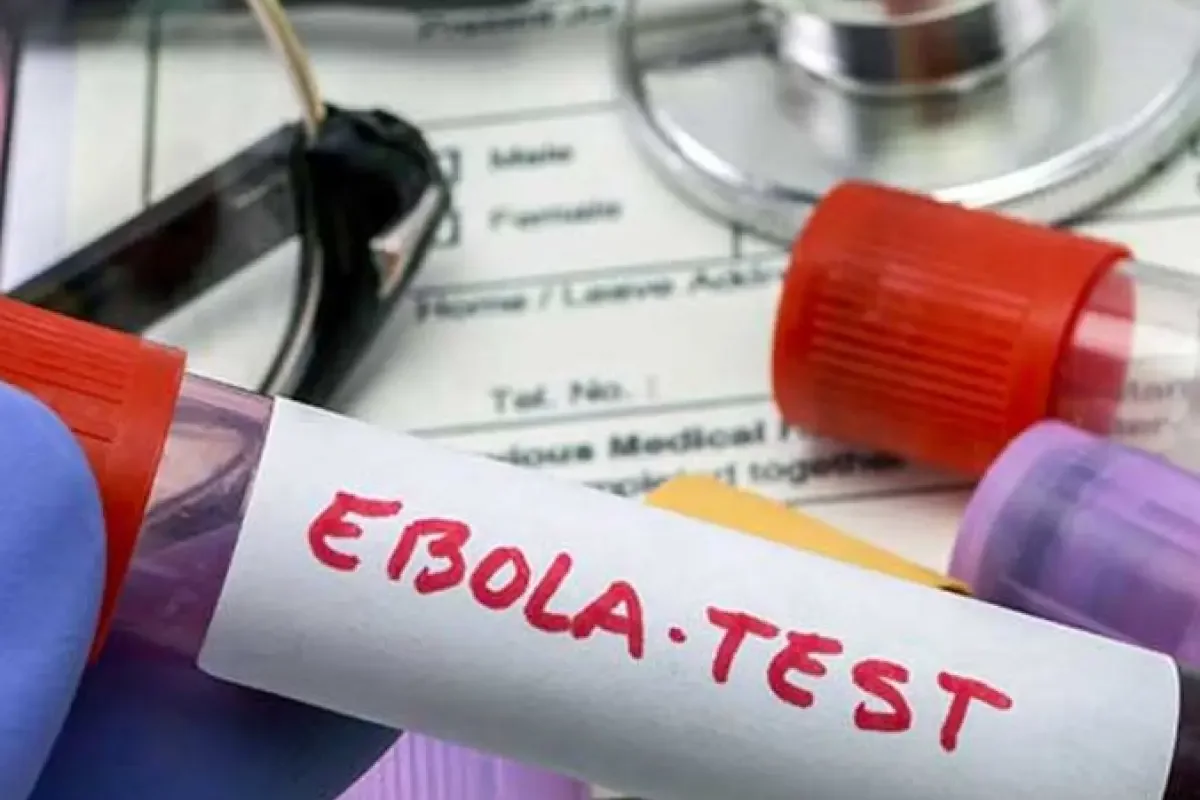 Kasus Ebola di Kongo Meningkat Jadi 260, Pemerintah Konfirmasi