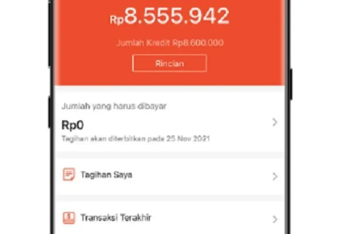 Cara Cek Tagihan dan Bayar Cicilan SPayLater Shopee agar Bebas Denda