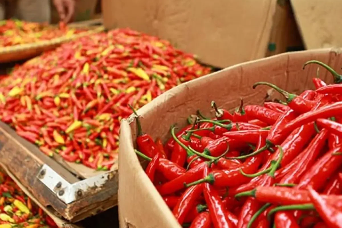 Harga Pangan 16 Juni 2026: Cabai dan Daging Ayam Pimpin Kenaikan