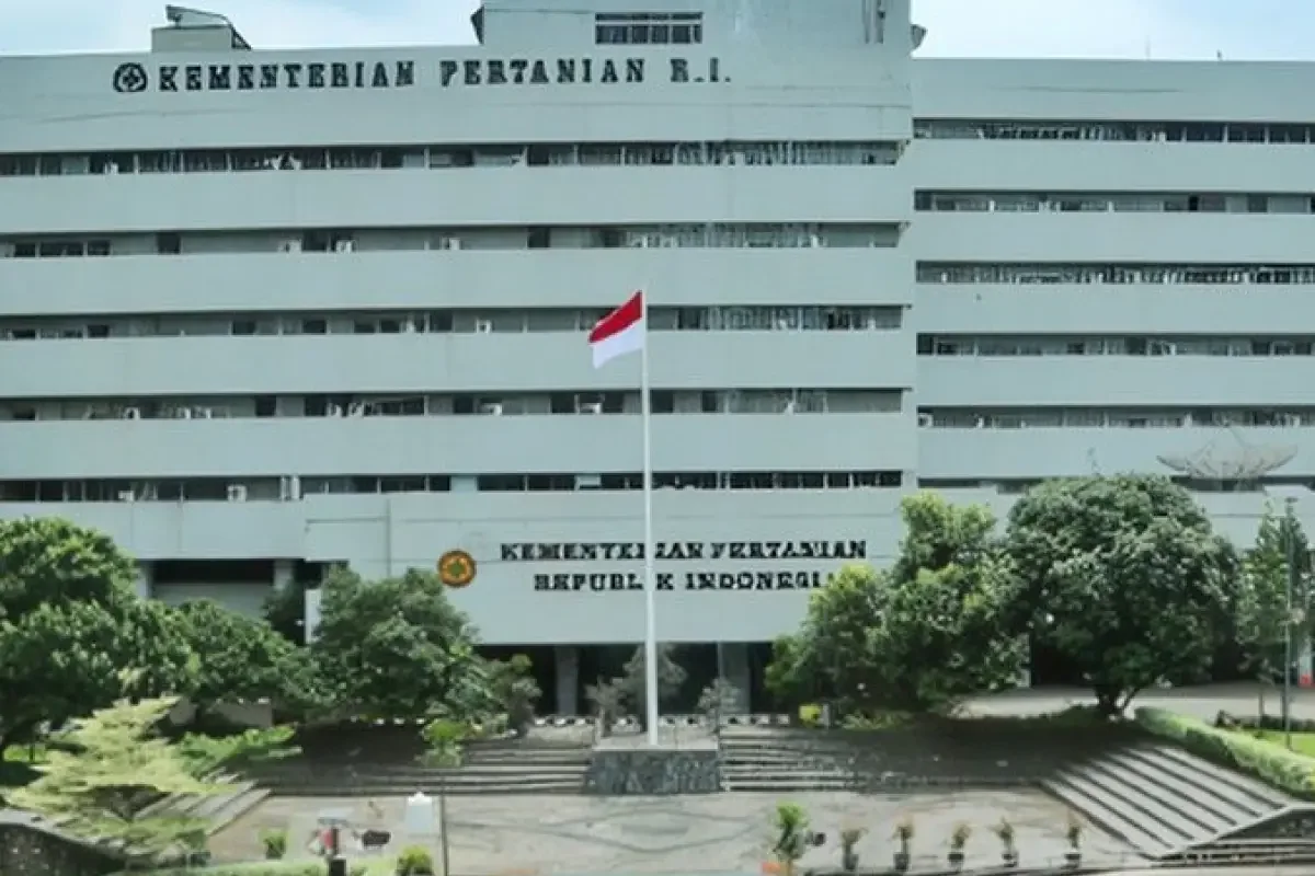 Kementan Larang Penggunaan Paracetamol untuk Menyuburkan Tanaman Cabai