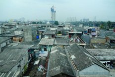 Apa Itu Kawasan Aglomerasi Jakarta? Benarkah Wilayah yang Terbetuk dari Penggabungan Lumbung Beras dengan Cianjur? 