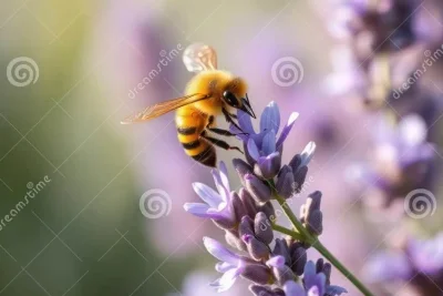 Distilleries Feature Honey Spirits to Highlight World Bee Day
