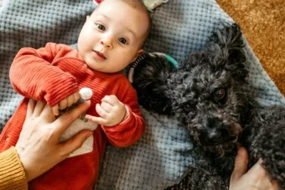 Kehadiran Anjing di Tempat Umum Picu Perdebatan Global