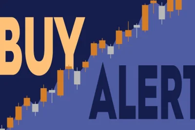 Divisadero Street Capital Management Tambah Kepemilikan Saham Dave