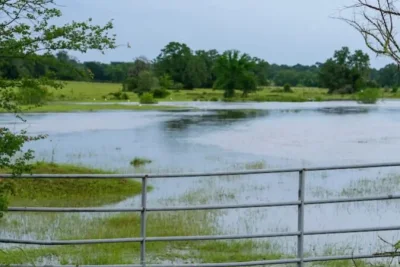 Severe Texas Storms Threaten Heavy Rainfall and Flash Floods