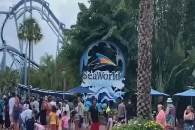 SeaWorld Parks Bring Back Free Beer Promotion for Summer Visitors