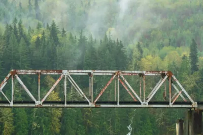 Bond Ladders via TIPS: Jembatan Pensiun yang Kuat