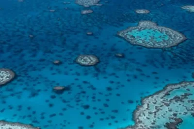 Shark Attack Kills Fisherman on Great Barrier Reef