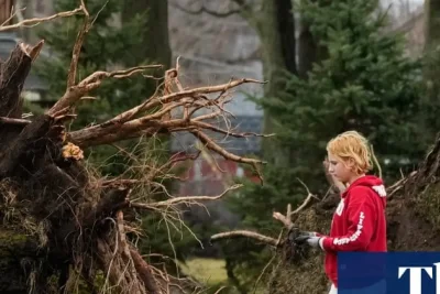 Severe Weather Outbreaks Batter Michigan Infrastructure and Economy