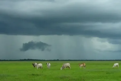 KNMI Updates Weather Warning System Following Legislative Changes