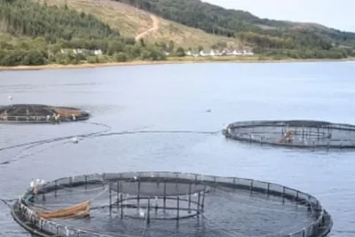 UK Regulator Forced to Release Fish Farm Death Reports