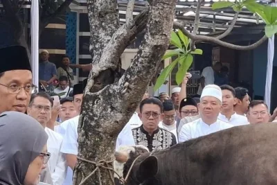 Purbaya Yudhi Sadewa Kurban Sapi 868 Kg dari Dana Pribadi di Jakarta