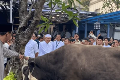Menteri Keuangan Purbaya Serahkan Sapi Kurban Pribadi, Ungkap Sumber Dana Bonus