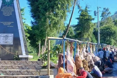 Idul Adha 2026 di Banjarnegara: Warga Krajan Sembelih 52 Sapi dan 339 Kambing