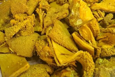 Pisahkan Daging dan Jeroan Kurban untuk Cegah Kontaminasi Bakteri