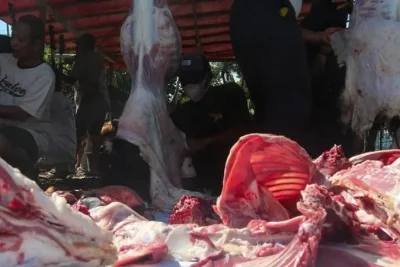 Enzim Nanas dan Pepaya Terbukti Ilmiah Mengempukkan Daging Kurban