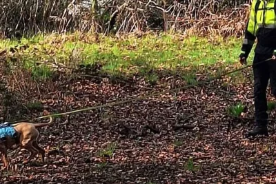 Southern Water Faces Backlash Over Eastbourne Discharge, Deploys Leak Detection Dogs