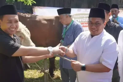 PWNU DKI Jakarta Gandeng Dharma Jaya untuk Pemotongan Kurban Modern