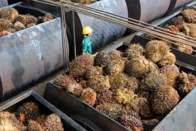 Harga Referensi CPO Juni 2026 Turun Jadi US$ 1.029,51 per Metrik Ton