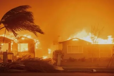 Global Study: Wildfires Devastate Wealthy Regions Despite Drop in Burned Hectares
