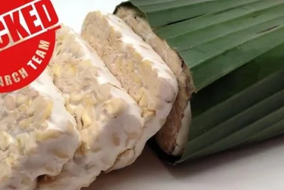5 Sumber Probiotik Alami yang Mudah Ditemukan untuk Kesehatan Usus