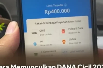 Cara Memunculkan DANA Cicil 2026 dengan Mudah Tanpa Ribet