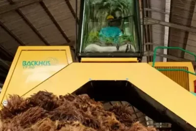 Lo Kheng Hong Borong 19,9 Juta Saham SIMP, Kepemilikan Tembus 5,11%