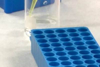 DNA Analysis, New Tech Take Center Stage in Nancy Guthrie Case