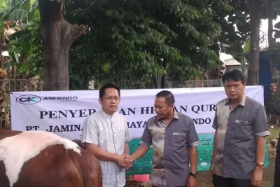 PT Brantas Abipraya Salurkan 210 Hewan Kurban untuk Masyarakat