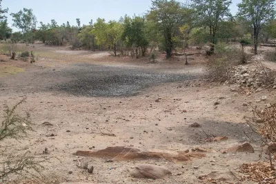 PBB Peringatkan Risiko Cuaca Ekstrem Akibat Fenomena El Nino