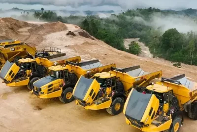 PT Merdeka Gold Resources Tbk Percepat Pengembangan Tambang Emas Pani