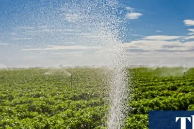 Study Finds Widespread PFAS Pesticide Contamination in California Waterways