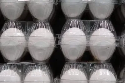 Sainsbury Shifts to White Eggs While Competitors Retain Brown Varieties