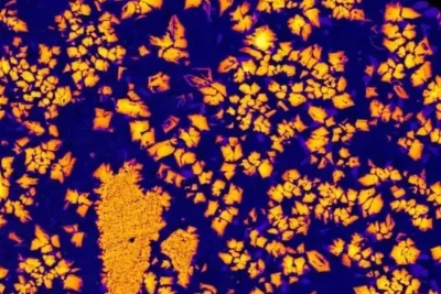 Meteorit Sahara NWA 12774 Ungkap Keberadaan Dunia Hilang Seukuran Bulan