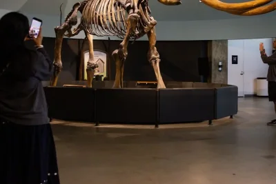 La Brea Tar Pits to Close July 6 for Two-Year Modernization