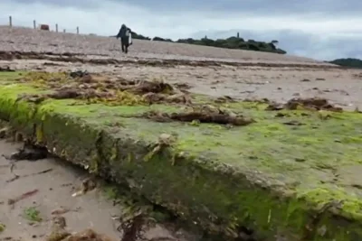 Southern Water Pauses Isle of Wight Sewage Pipe Project After Protests