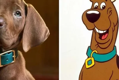 Netflix's 'Scooby-Doo: Origins' Live-Action Puppy Draws Fan Backlash