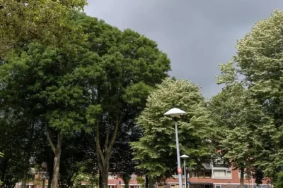 Lightning Strike Sparks Utrecht House Fire as Storms Hit Region