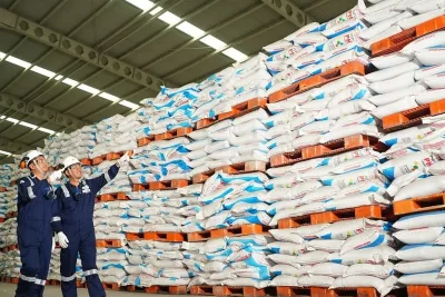 Laba Bersih PT Nusa Palapa Gemilang Tbk Melonjak 45,4 Persen Sepanjang 2025