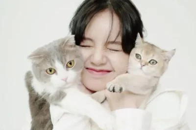 Psikologi Ungkap Kepribadian Wanita Penyuka Kucing: Mandiri hingga Reflektif