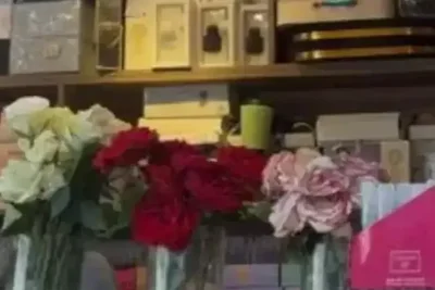 Kota Taif Kembangkan Budidaya Mawar untuk Parfum Mewah Dunia