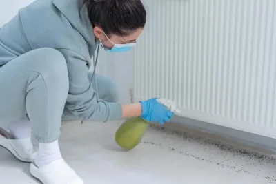 7 Cara Mencegah Semut Masuk Rumah dengan Bahan Alami