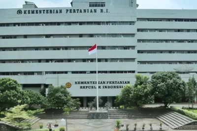 Kementan Larang Penggunaan Paracetamol untuk Menyuburkan Tanaman Cabai