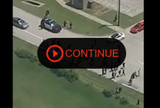 Toronto Pearson Airport Shooting: What Really Happened?