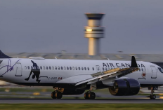 Man Shot by Police at Toronto Pearson Airport, Police: No Threat to Public